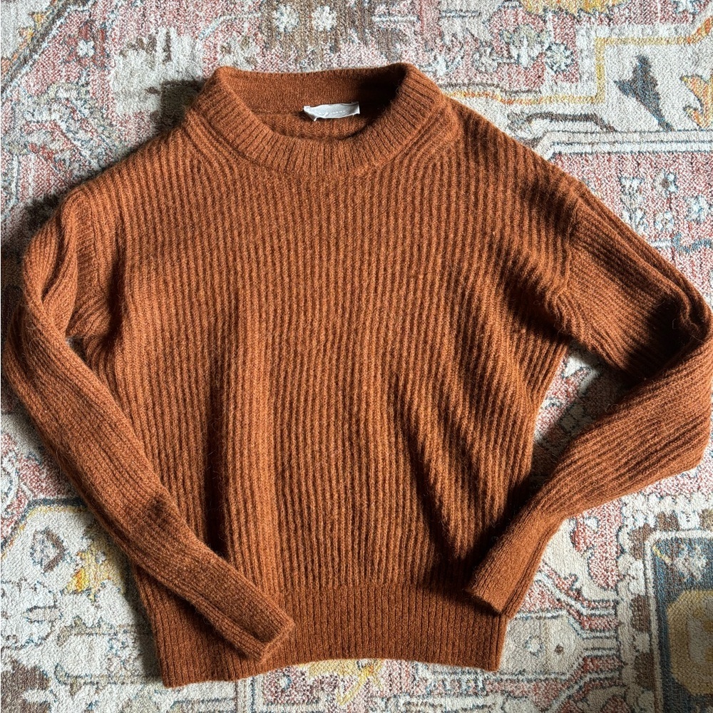 Everlane The Oversized Alpaca Crew in Dark Copper